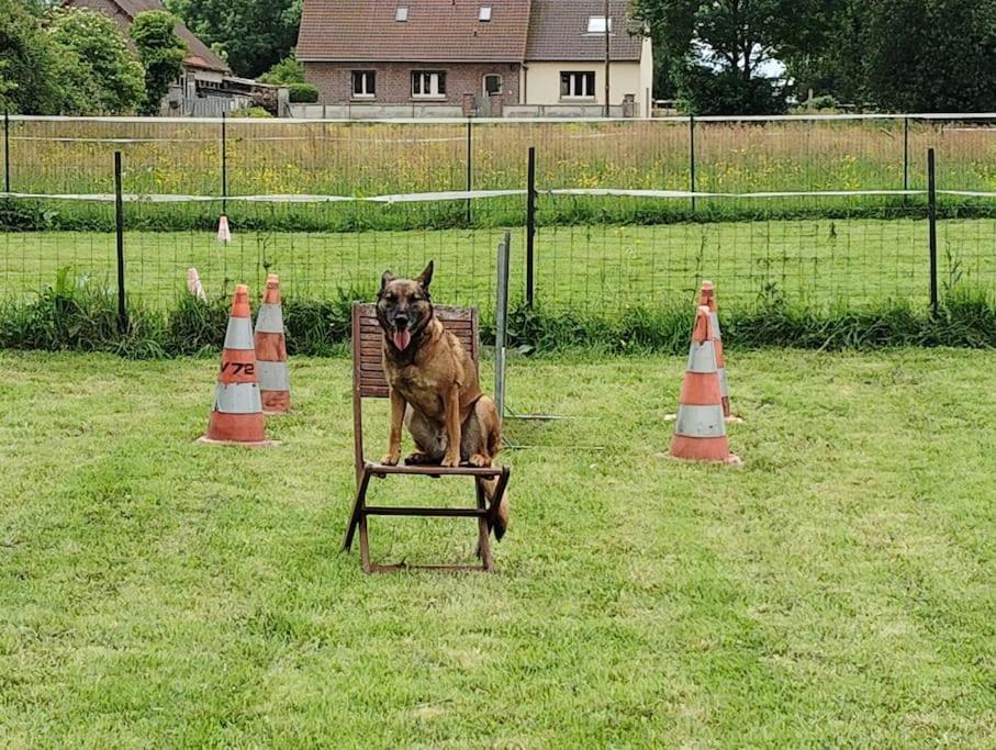 Gite Au Ptit Canin Moyenneville  Luaran gambar